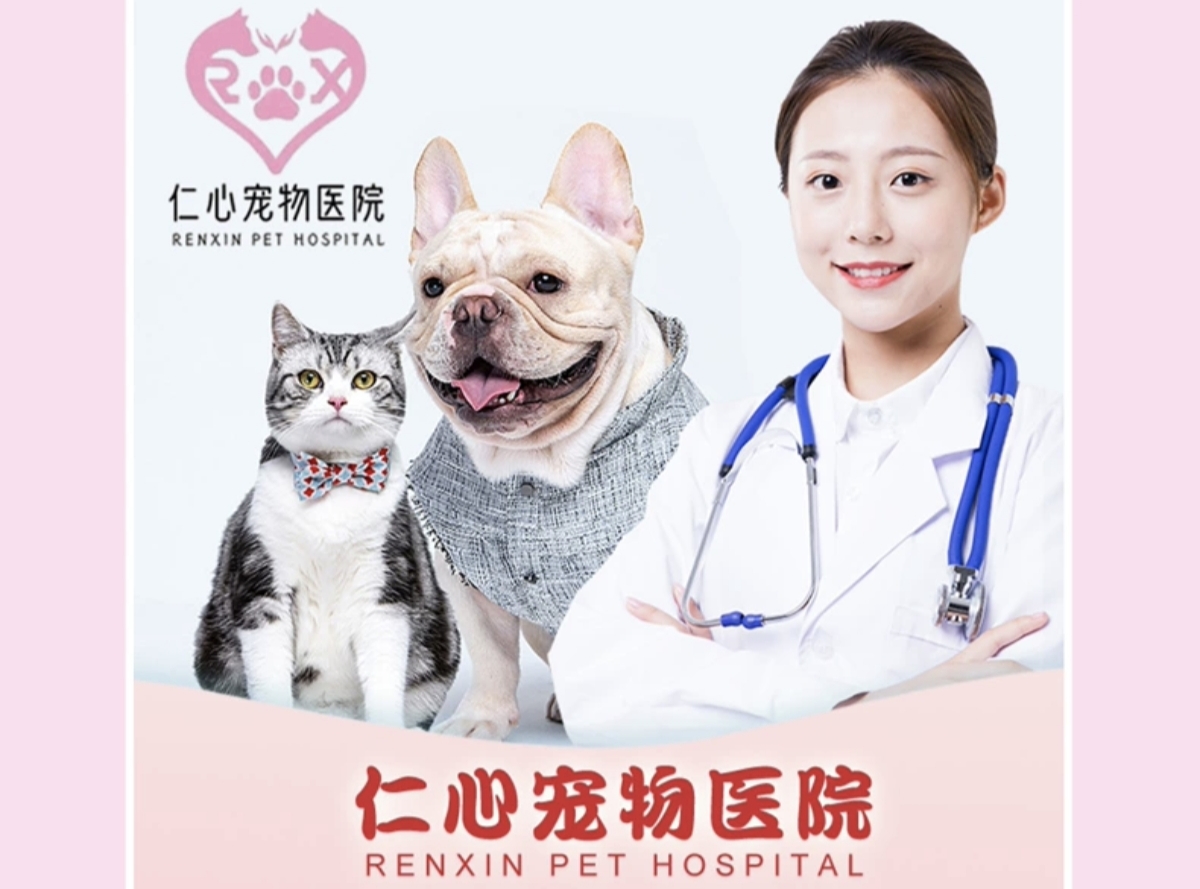 仁心